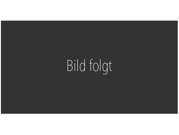 Verdade Hi-End Passiv Studiomonitore